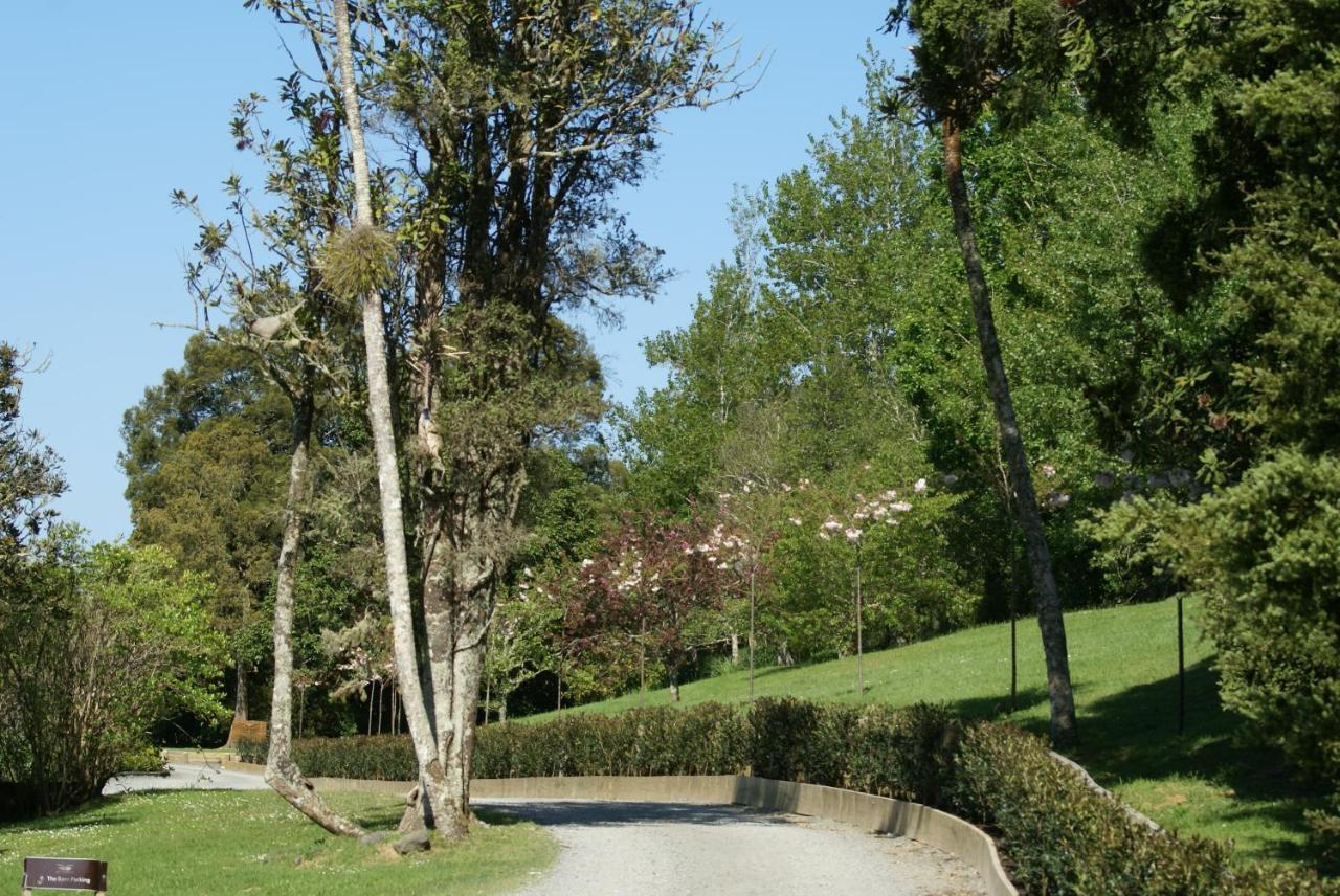 Woodhouse Mountain Lodge 瓦科沃斯 外观 照片
